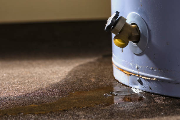 Best Carpet water damage restoration  in Coal Grove, OH