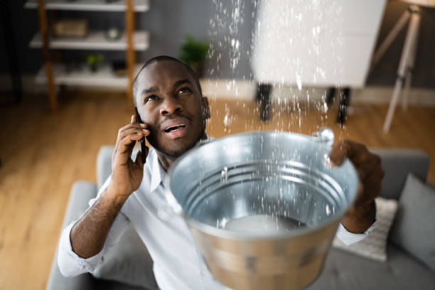Best Commercial water damage restoration  in Coal Grove, OH