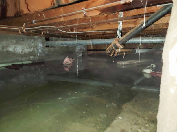 Coal Grove, OH Water damage restoration Company