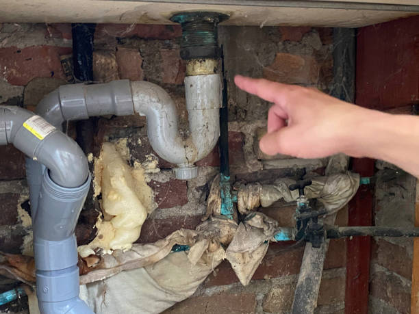Best Water damage cleanup near me  in Coal Grove, OH